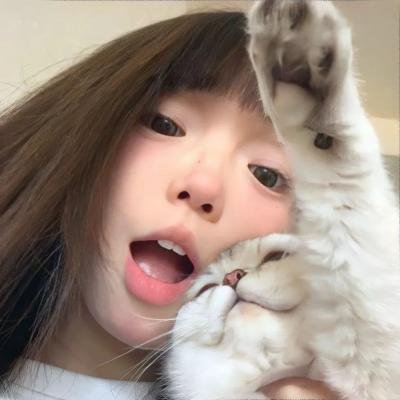 功夫小兔侠